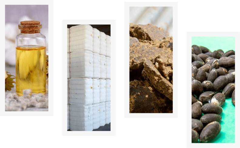 The four commodities the exchange covers: cotton oil, cotton bales, cotton cake and cotton seeds