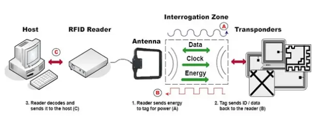 mobile-app-development