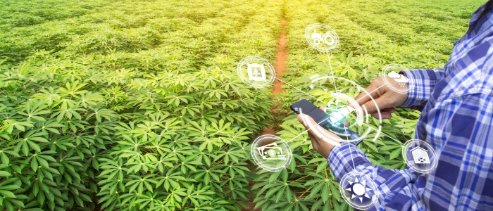 IoT in Agriculture