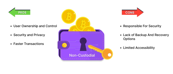 Pros-and-Cons-of-Non-Custodial-Wallets