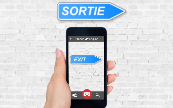 Language Translation and Local Interaction Assistance