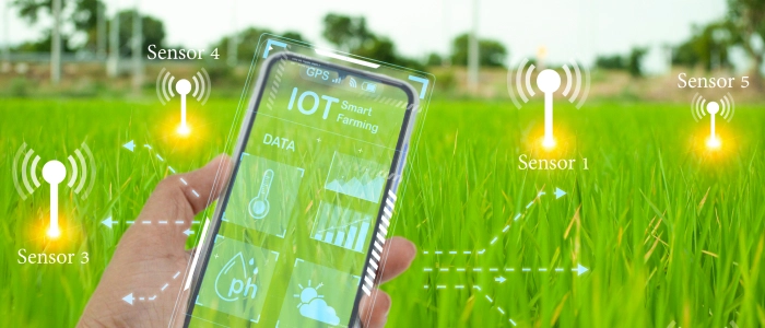 Agriculture & Smart Farming