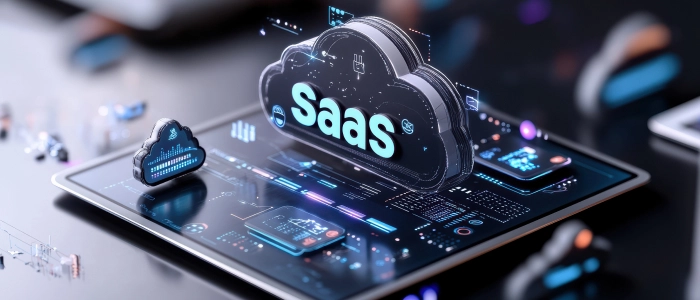 Software As A Service (SaaS) Products