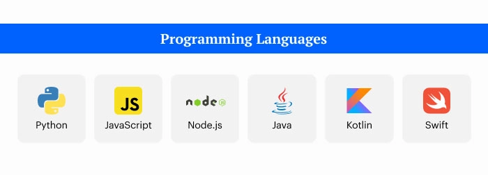 Programming Languages